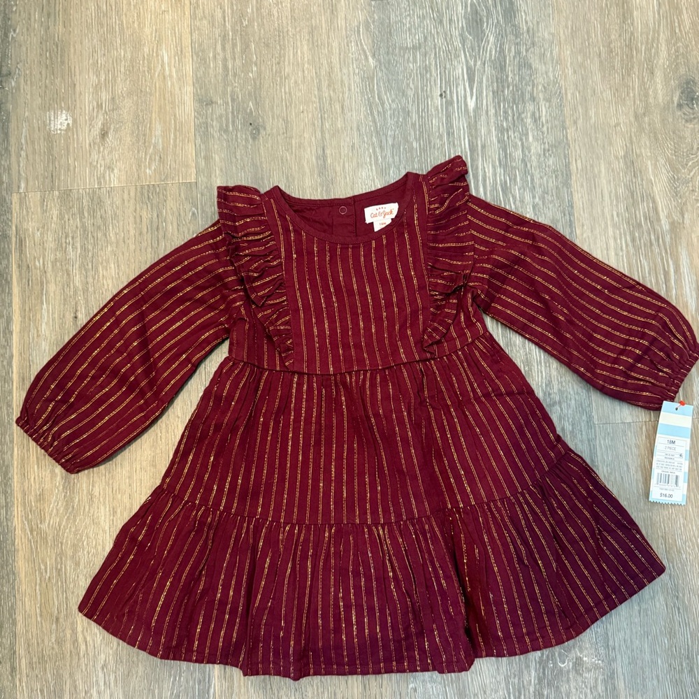 NWT Cat and Jack 18 Month Winter Dress